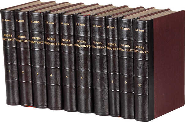 Брэм [Брем] А.Э. Иллюстрированное издание «Жизнь животных», 1893-1896.